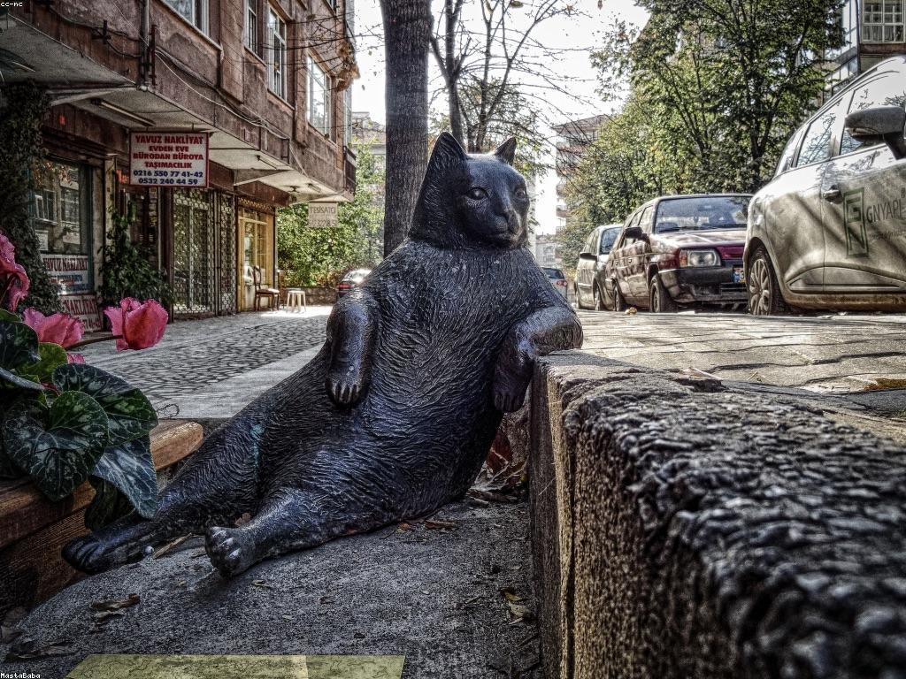 ពិនិត្យហ្គេម៖ ចំណេះដឹងបន្ថែមអំពីហ្គេម