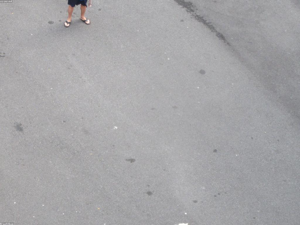 ពិព័រណ៍ហ្គេមថ្មីក្នុងឆ្នាំ 2023