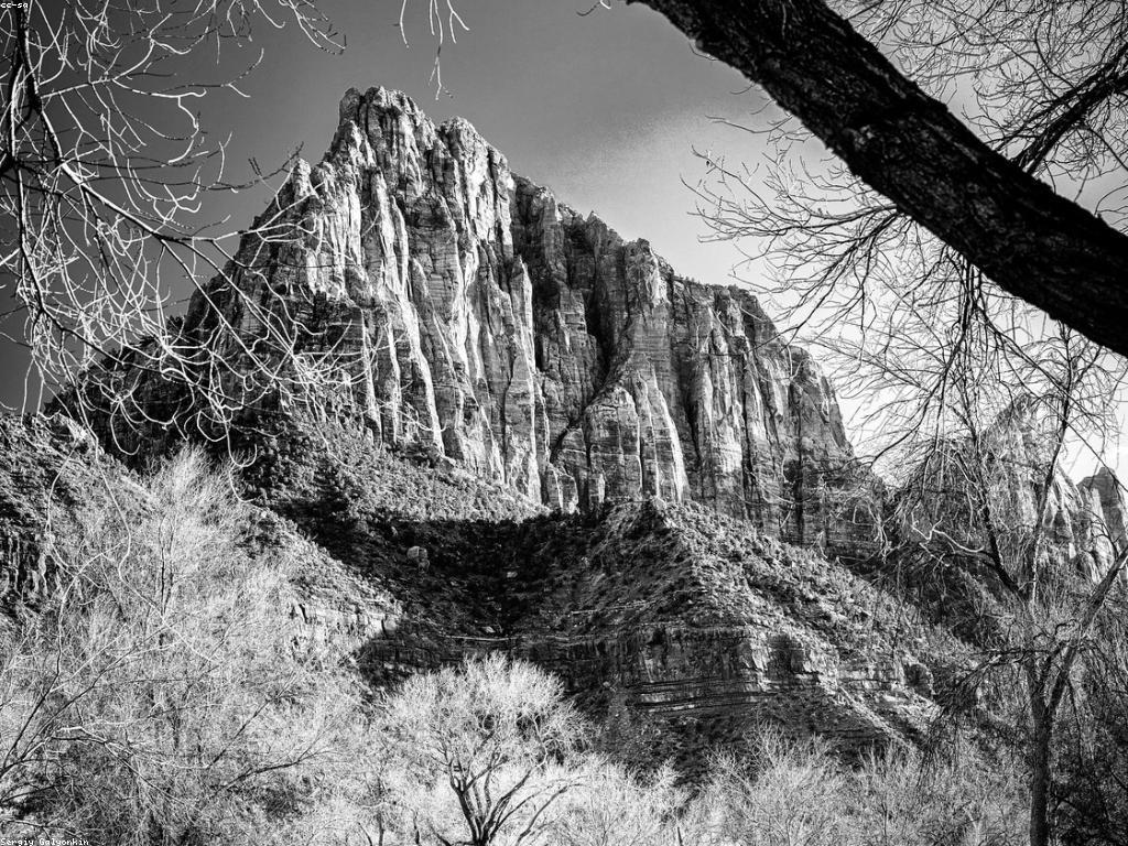 ការពិចារណាលើការពិនិត្យហ្គេម: ការយល់ដឹងថ្មីៗ