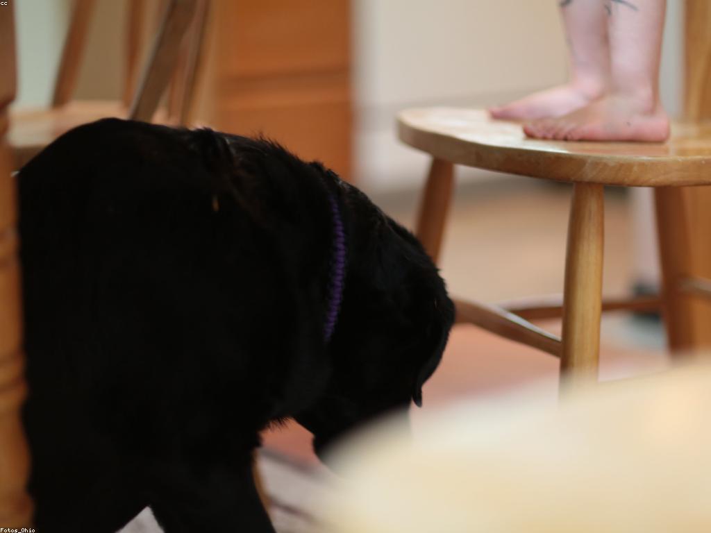 គន្លឹះថ្មីសម្រាប់ការបណ្តុះបណ្តាលហ្គេម