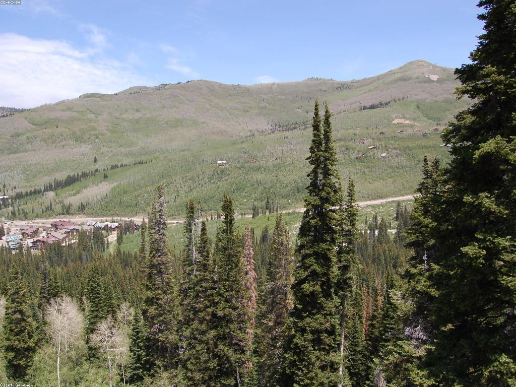 វិធីសាស្រ្តសម្រាប់ការបណ្ដុះបណ្ដាលហ្គេមយ៉ាងមានប្រសិទ្ធភាព